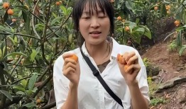 呆呆直播卖枇杷翻车枇杷卖那么贵把自己当成大咖粉丝当韭菜