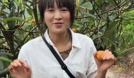 呆呆直播卖枇杷翻车枇杷卖那么贵把自己当成大咖粉丝当韭菜