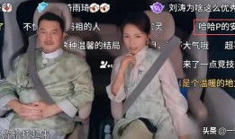 收手吧！官方下场怒斥内娱乱象刘涛郑恺也没逃过 别再糊弄观众了